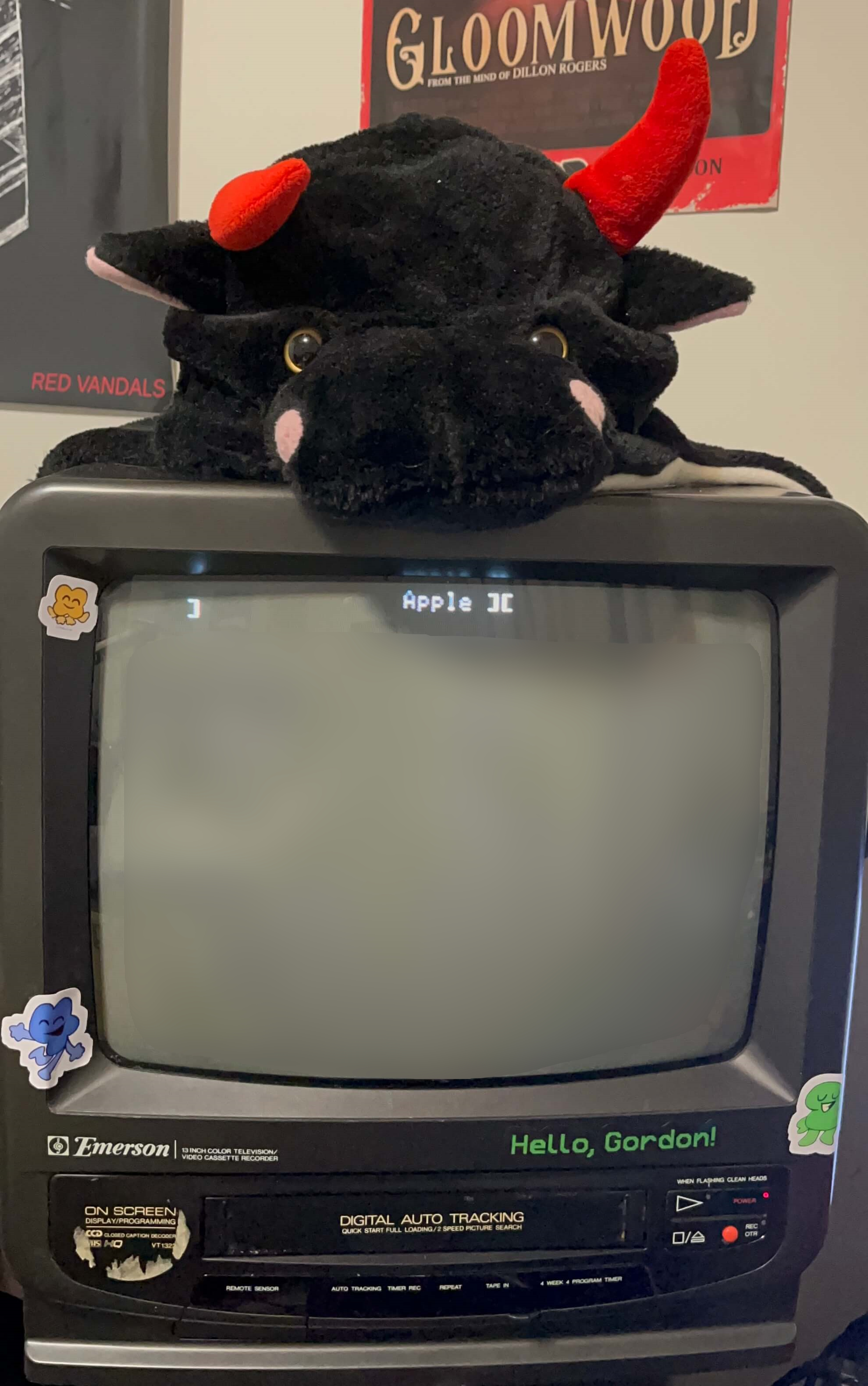 CRT Television